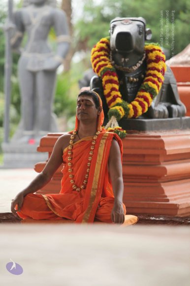 2-Pancha-Tapas_Photo_1003_IMG_2982_CMP_WM