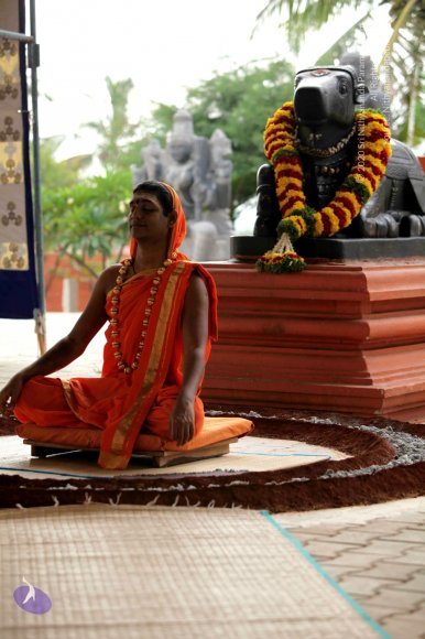 2-Pancha-Tapas_Photo_1004_IMG_2983_CMP_WM