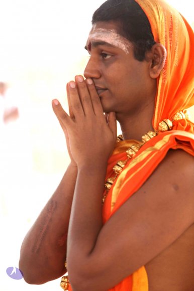 2-Pancha-Tapas_Photo_1011_IMG_3020_CMP_WM