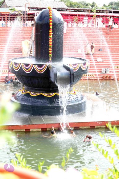 8-Vaidya-Sarovar_Photo_1014_IMG_3678_CMP_WM