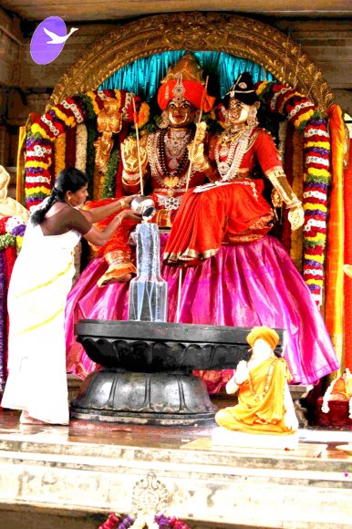 9-Temple-Swayambu-Linga-Abhishekam-Guru-Homa-Gurumudi-Dakshinamurti_Photo_1005_IMG_3690_CMP_WM