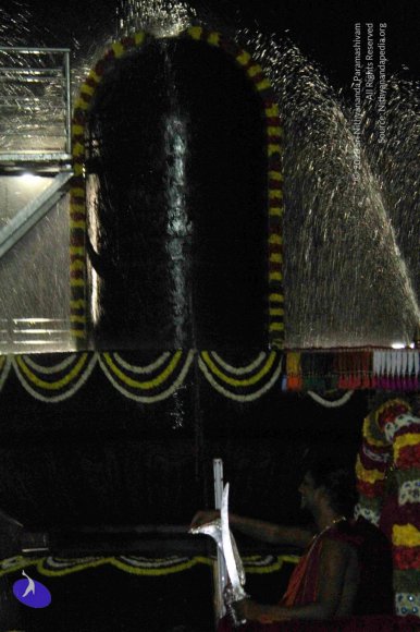 Theppotsavam_Photo_1054_IMG_4229_CMP_WM