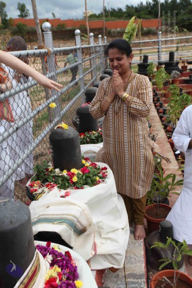 20110717_Photo_1018_IMG_4833_CMP_WM