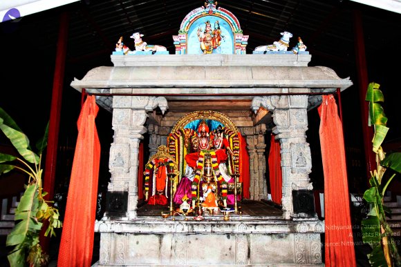 20110717_Photo_1001_IMG_4199_CMP_WM