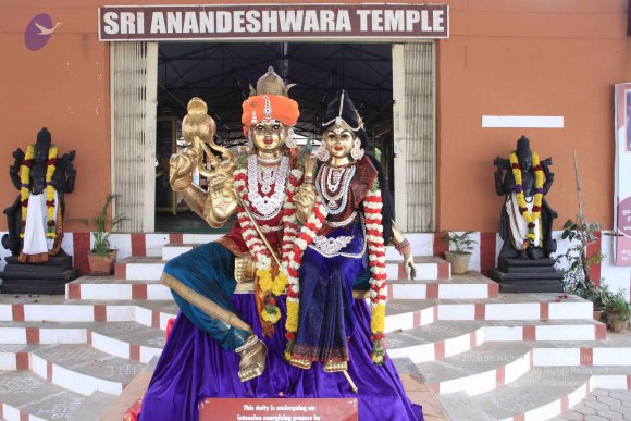 20110730_Photo_1016__MG_8209_CMP_WM