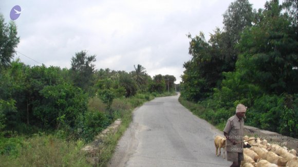 PIC_0834_CMP_WM