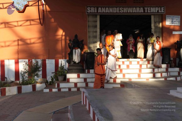 20110305_Photo_1001_IMG_7199_CMP_WM