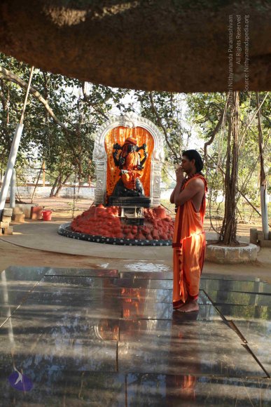 20110305_Photo_1002_IMG_7185_CMP_WM