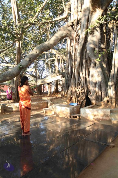 20110305_Photo_1005_IMG_7188_CMP_WM