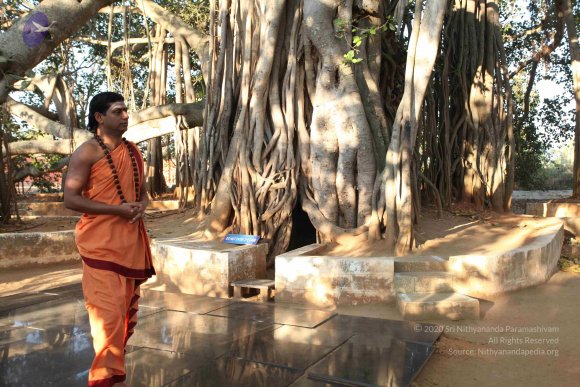 20110305_Photo_1008_IMG_7191_CMP_WM