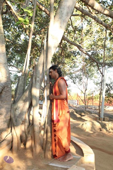 20110305_Photo_1013_IMG_7180_CMP_WM