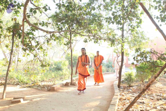 20110305_Photo_1020_IMG_7175_CMP_WM