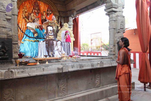 20110305_Photo_1025_IMG_7170_CMP_WM