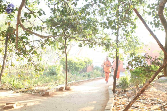 20110305_Photo_1033_IMG_7173_CMP_WM