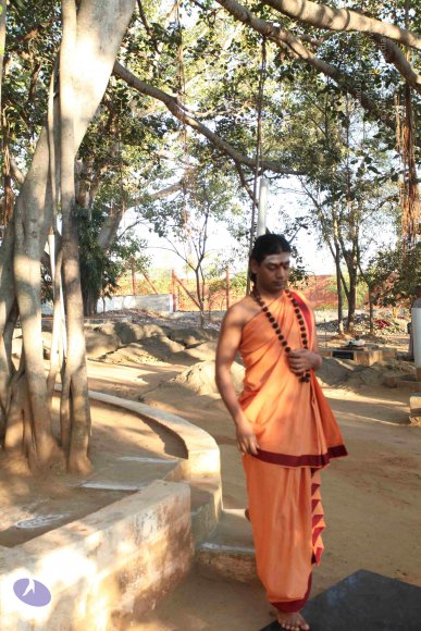 20110305_Photo_1038_IMG_7181_CMP_WM