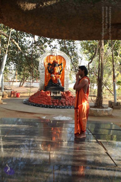 20110305_Photo_1041_IMG_7184_CMP_WM