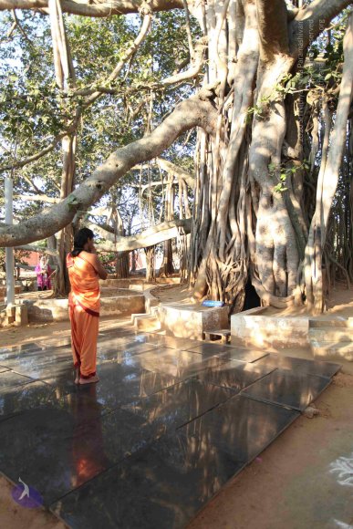 20110305_Photo_1045_IMG_7189_CMP_WM