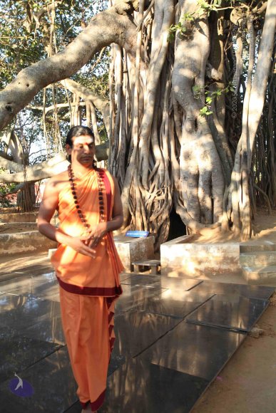 20110305_Photo_1047_IMG_7192_CMP_WM