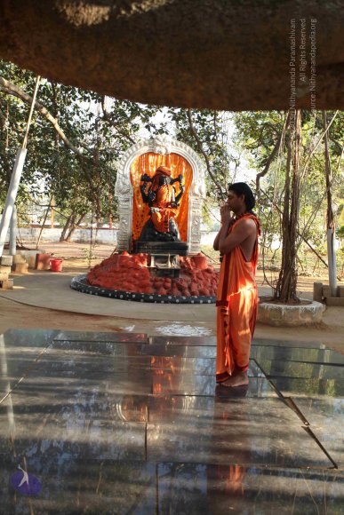 20110305_Photo_1048_IMG_7183_CMP_WM