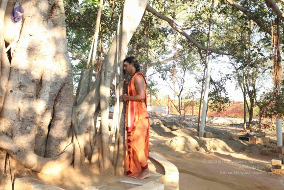 20110305_Photo_1052_IMG_7179_CMP_WM