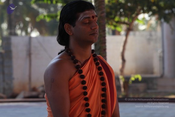 20110305_Photo_1002_IMG_7352_CMP_WM