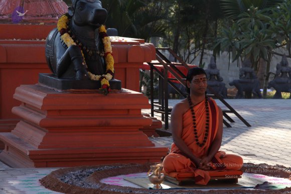 20110305_Photo_1017_IMG_7332_CMP_WM