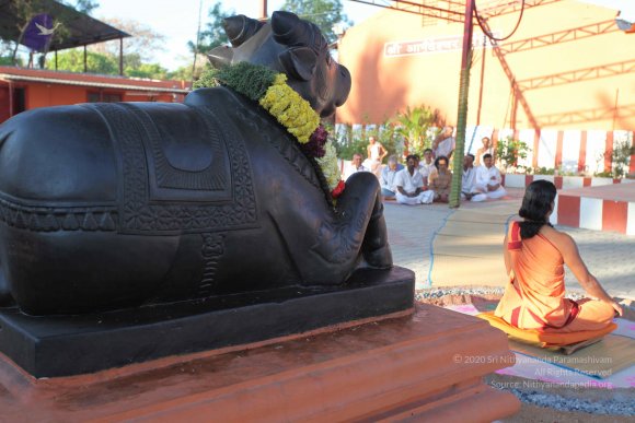 20110305_Photo_1020_IMG_7281_CMP_WM