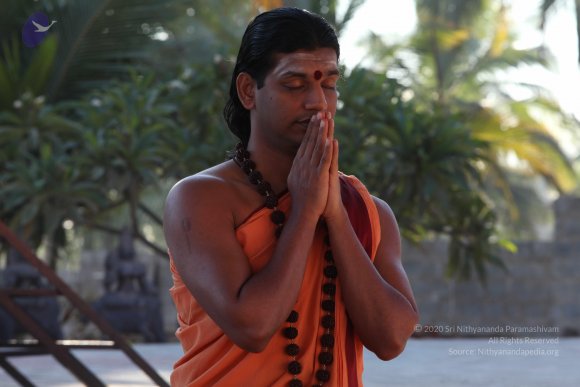 20110305_Photo_1032_IMG_7362_CMP_WM