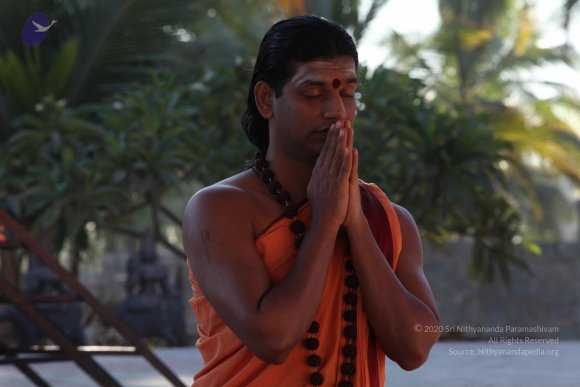 20110305_Photo_1043_IMG_7361_CMP_WM