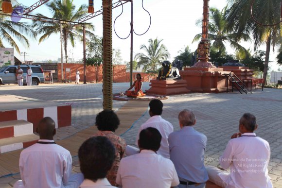 20110305_Photo_1054_IMG_7282_CMP_WM