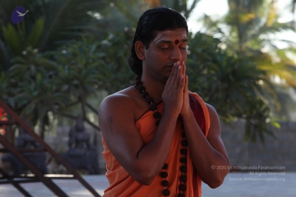 20110305_Photo_1056_IMG_7359_CMP_WM