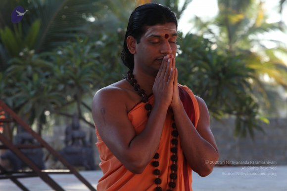 20110305_Photo_1062_IMG_7363_CMP_WM