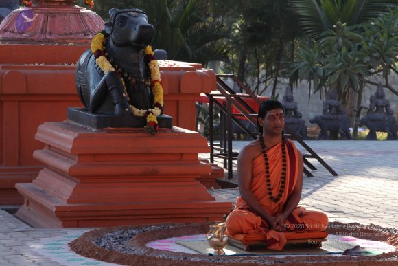 20110305_Photo_1066_IMG_7333_CMP_WM