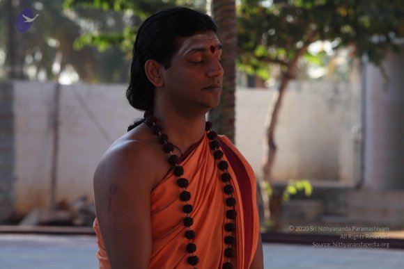 20110305_Photo_1067_IMG_7351_CMP_WM