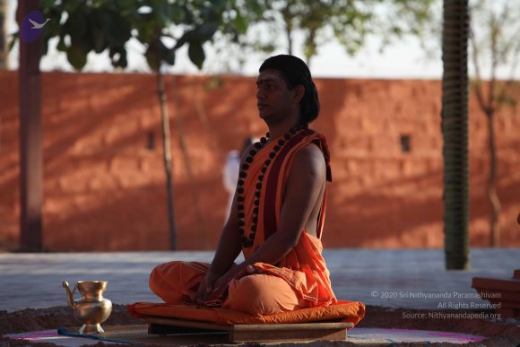 20110305_Photo_1068_IMG_7291_CMP_WM