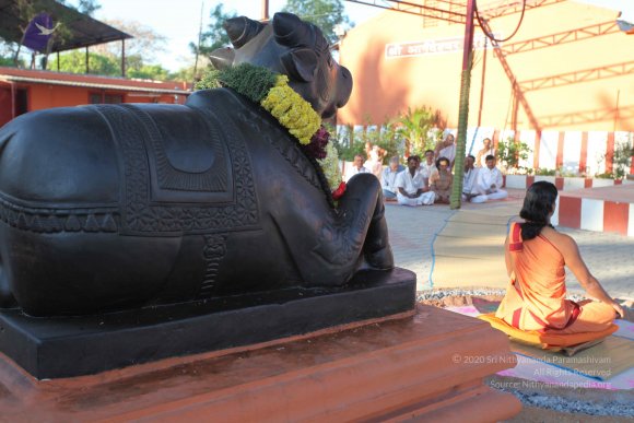 20110305_Photo_1070_IMG_7280_CMP_WM