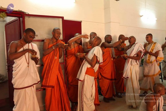 20110305_Photo_1001_IMG_7727_CMP_WM