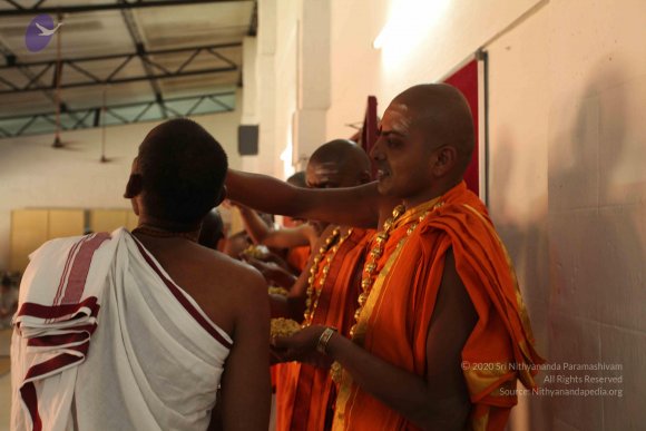 20110305_Photo_1047_IMG_7720_CMP_WM