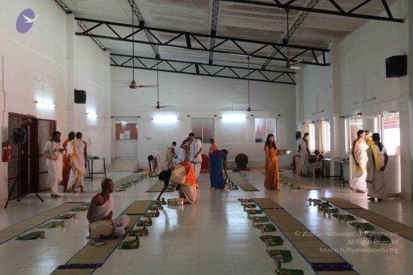 20110305_Photo_1088_IMG_7657_CMP_WM