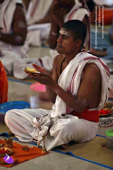 20110305_Photo_1014_IMG_7458_CMP_WM