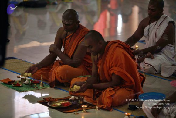 20110305_Photo_1015_IMG_7461_CMP_WM