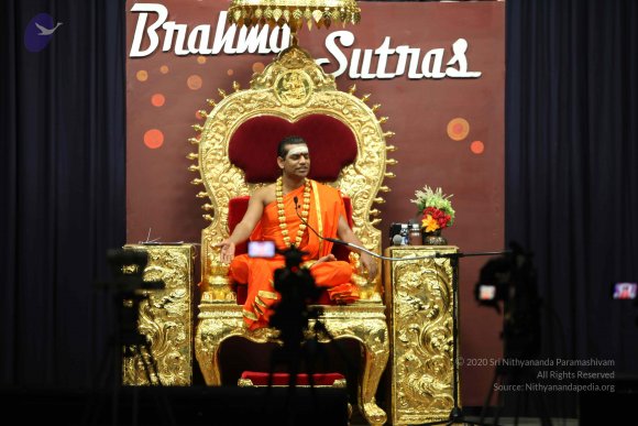 20110305_Photo_1017_IMG_7902_CMP_WM