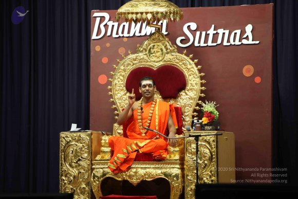 20110305_Photo_1019_IMG_7910_CMP_WM