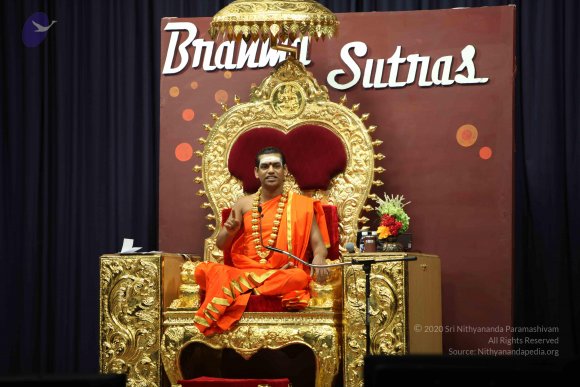 20110305_Photo_1020_IMG_7912_CMP_WM