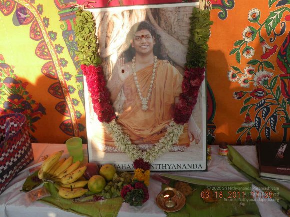 20110331_Photo_1042_Picture 044_CMP_WM