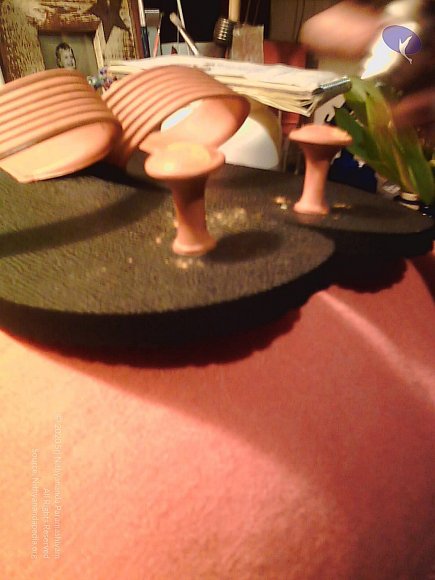 20110530_Photo_1002_paduka sheila 037_CMP_WM