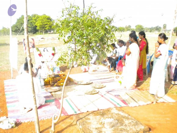 20111112_Photo_1089_DSCN6067_CMP_WM