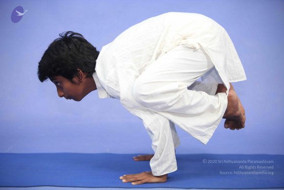 5-Gurukul-Yogashoot_Photo_1001_IMG_4560_CMP_WM