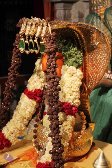 1-Temple_Photo_1005_IMG_1251_CMP_WM