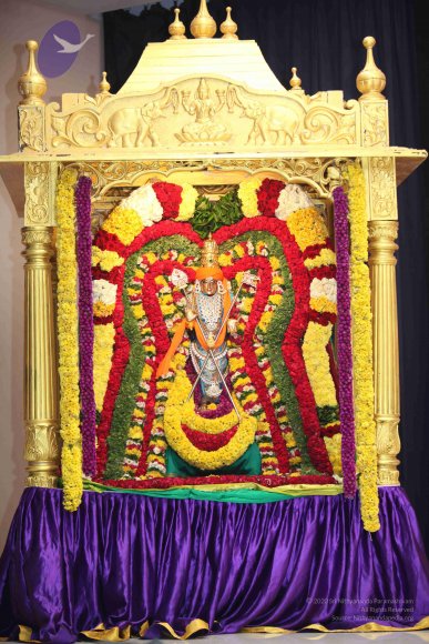 20111028_Photo_1002_IMG_6484_CMP_WM-1